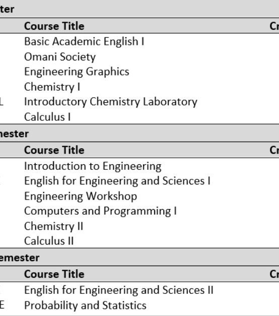 Year-One-BS-In-Chemical-Eng